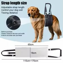 A golden retriever wearing a black dog harness with a leash attachment, shown beside a measurement diagram and a white strap sample labeled 115cm-170cm. Text on the image explains adjustable strap length and towing distance.