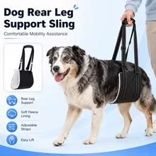 Rear Support Mobility Harness for Senior Dogs