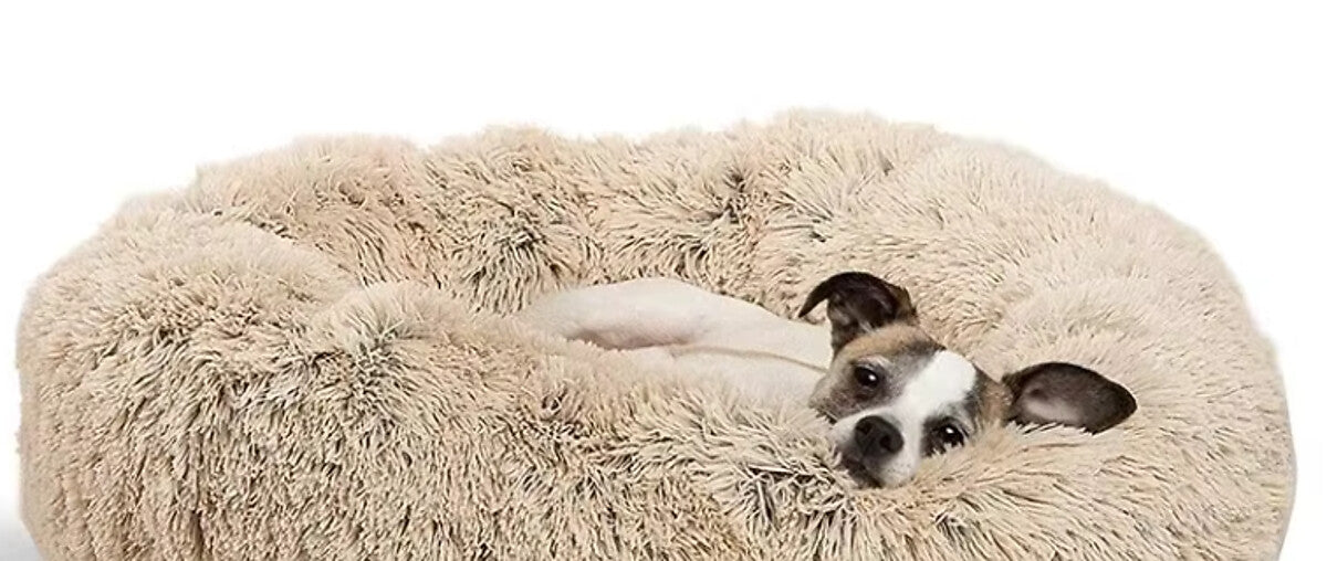 A small dog with black and white fur lies inside a fluffy, round beige dog bed on a plain white background.