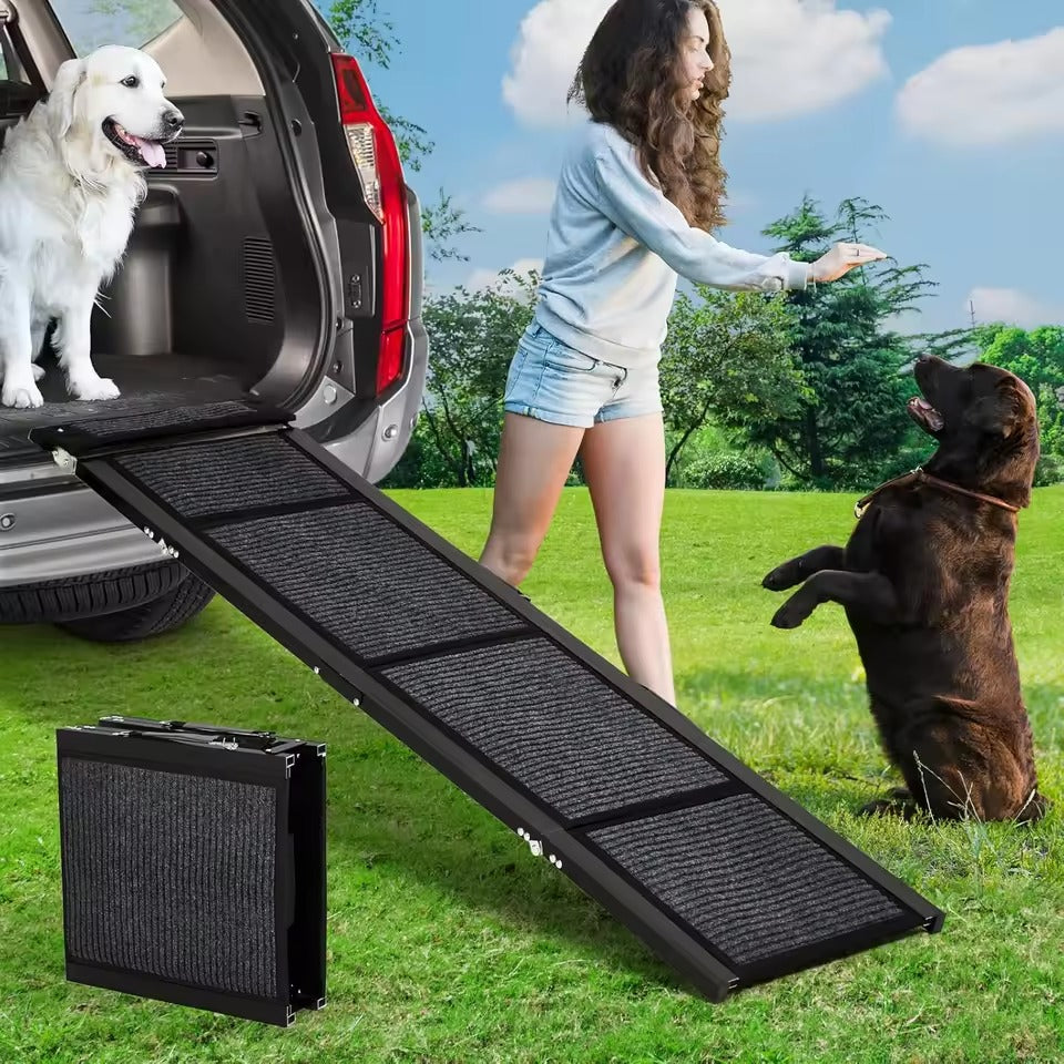 Dog ramp being used to help a dog get into a car with a woman and another dog in a grassy area.