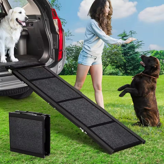 Dog ramp being used to help a dog get into a car with a woman and another dog in a grassy area.